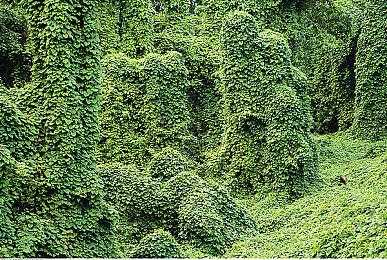 《破晓传说》“冒险精神”预告 钓鱼、烹饪画面首曝