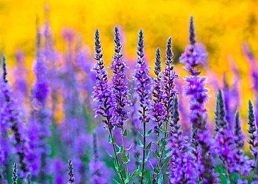 《Exoborne》游戏性预告 明年登陆PC和主机